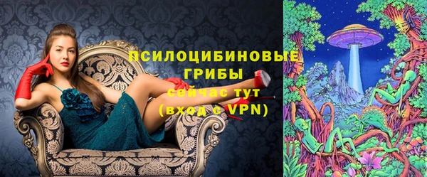 apvp Алексин