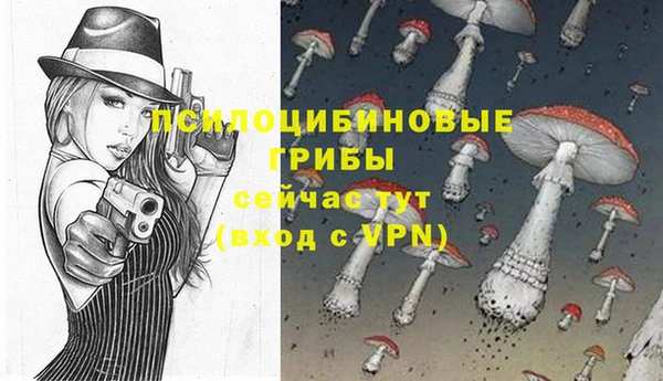 соль курить ск Алексеевка