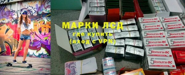 хмурый Алзамай