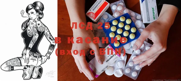 хмурый Алзамай