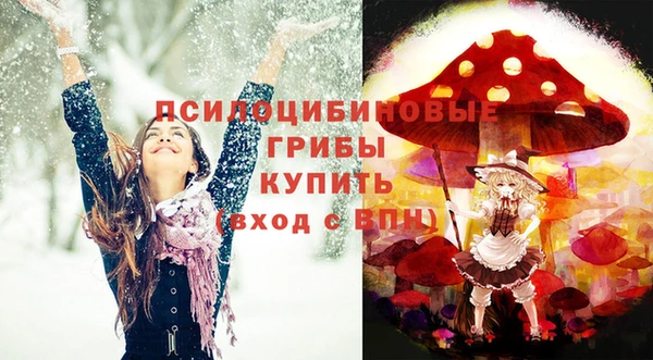 хмурый Алзамай