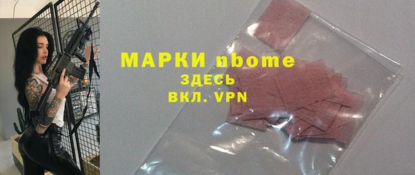 хмурый Алзамай