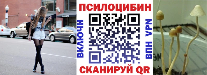 сайты даркнета клад Керчь Псилоцибиновые грибы ЛСД